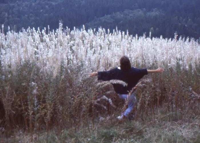 Les Naiades Apartment Gérardmer