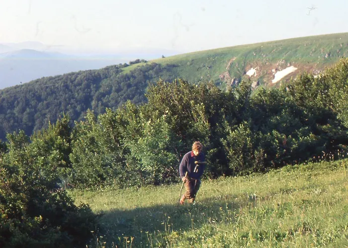 Apartment Les Naiades *